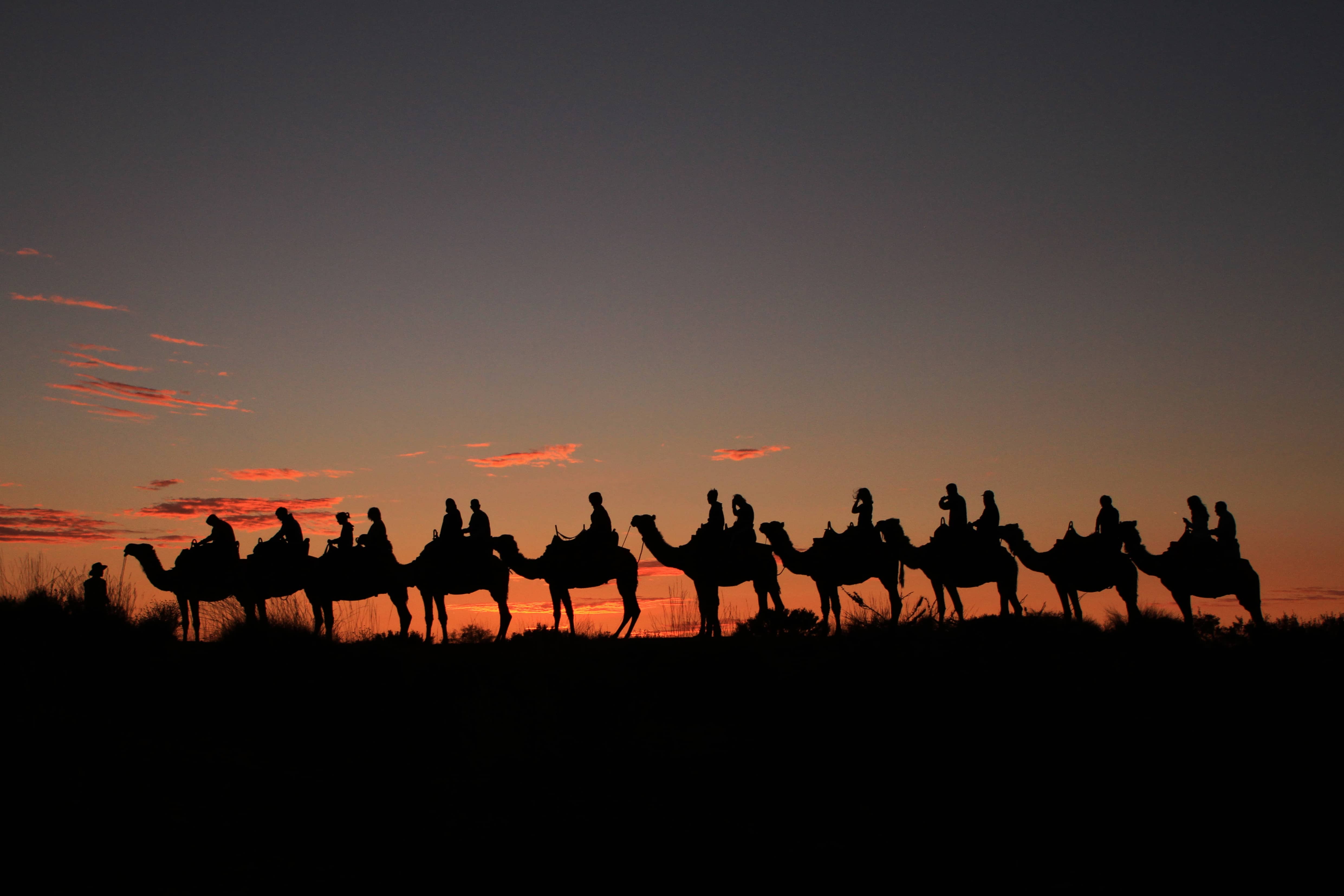 サンセット鑑賞